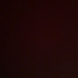 Meet your Posher, Ronnie